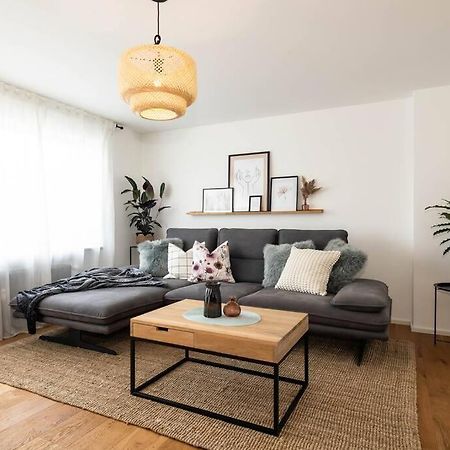 Luxury Apartment On The Rhein 高莱茵河畔布辛根 外观 照片