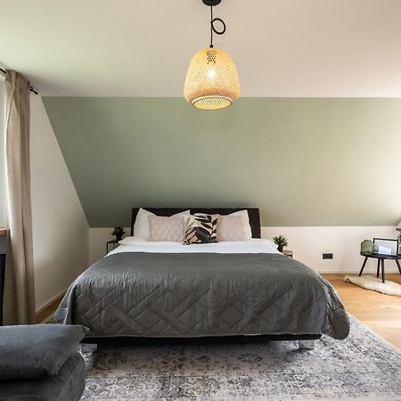 Luxury Apartment On The Rhein 高莱茵河畔布辛根 外观 照片