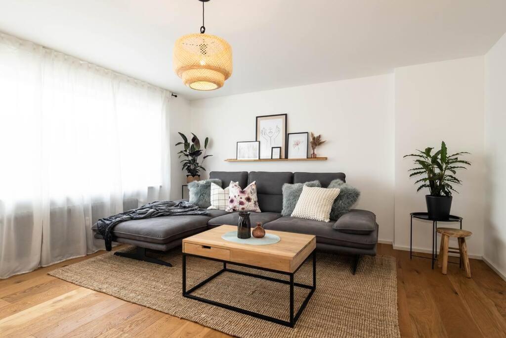Luxury Apartment On The Rhein 高莱茵河畔布辛根 外观 照片