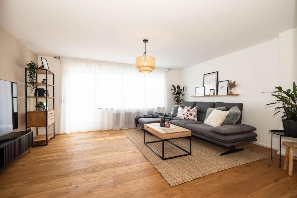 Luxury Apartment On The Rhein 高莱茵河畔布辛根 外观 照片