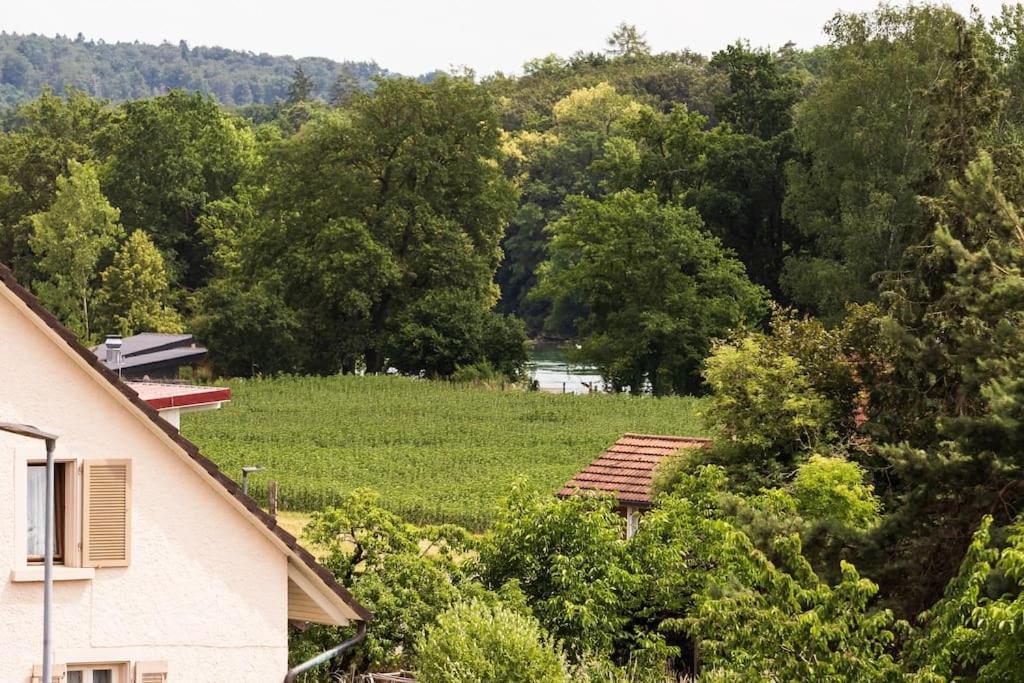 Luxury Apartment On The Rhein 高莱茵河畔布辛根 外观 照片
