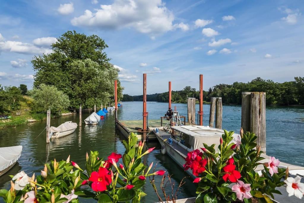 Luxury Apartment On The Rhein 高莱茵河畔布辛根 外观 照片