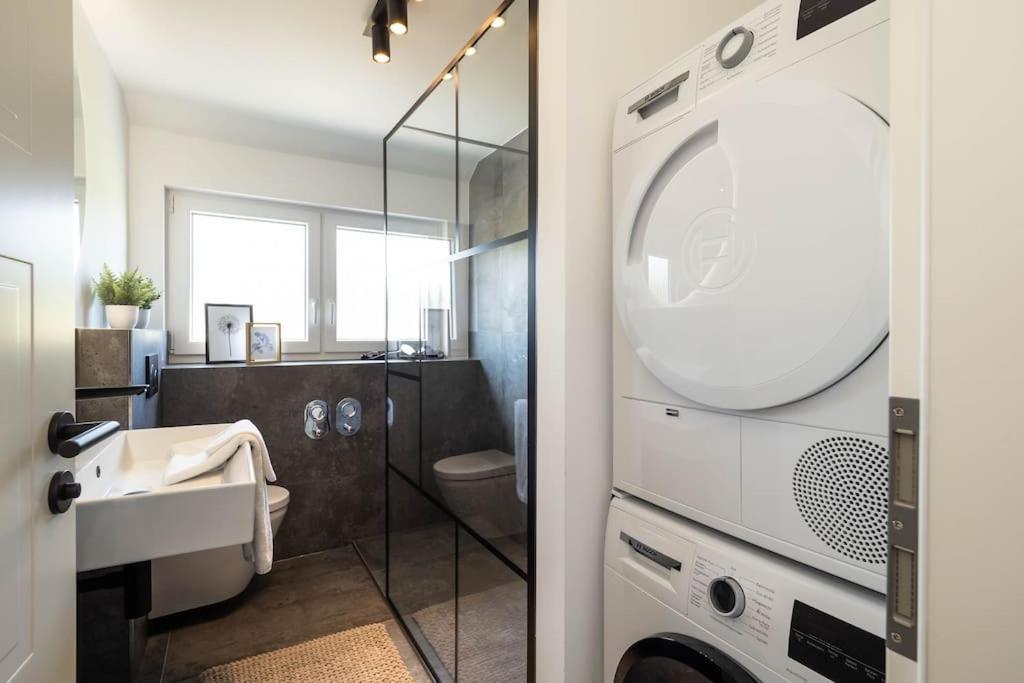 Luxury Apartment On The Rhein 高莱茵河畔布辛根 外观 照片
