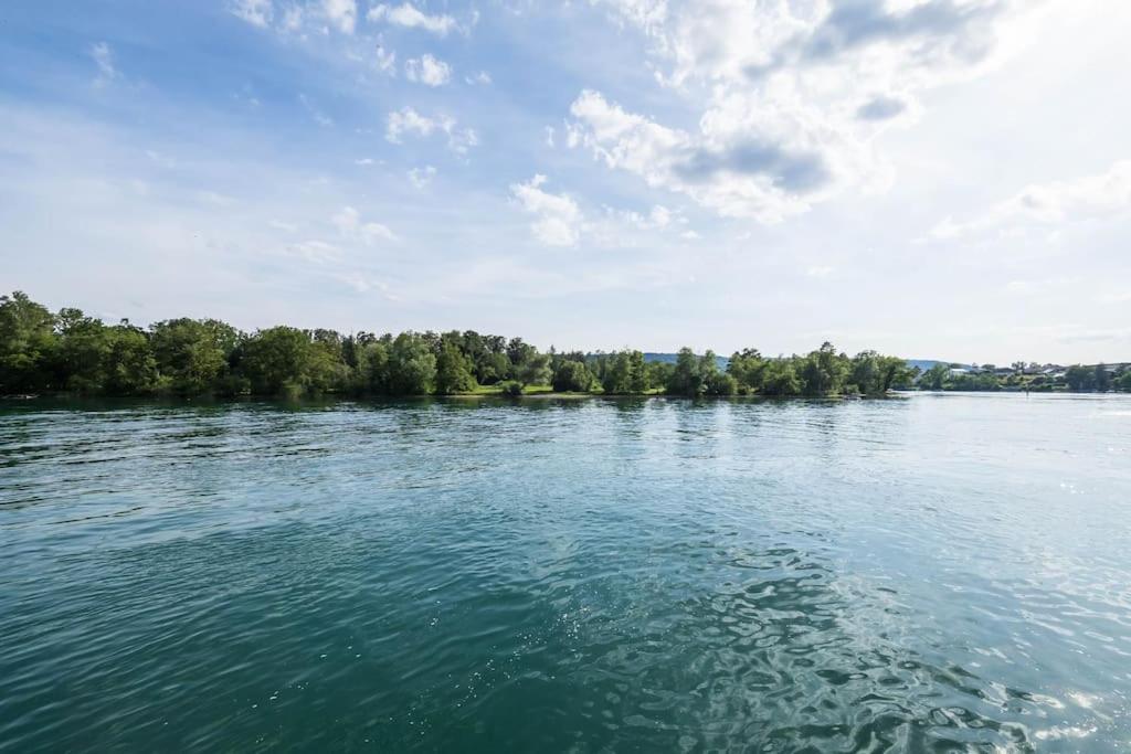 Luxury Apartment On The Rhein 高莱茵河畔布辛根 外观 照片