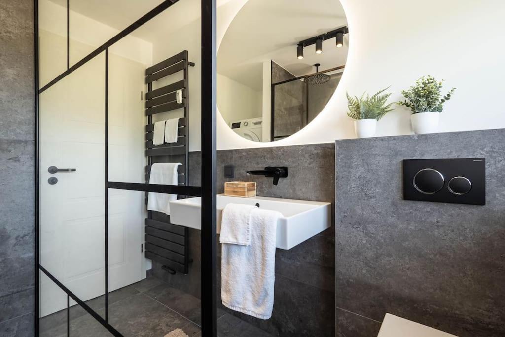 Luxury Apartment On The Rhein 高莱茵河畔布辛根 外观 照片
