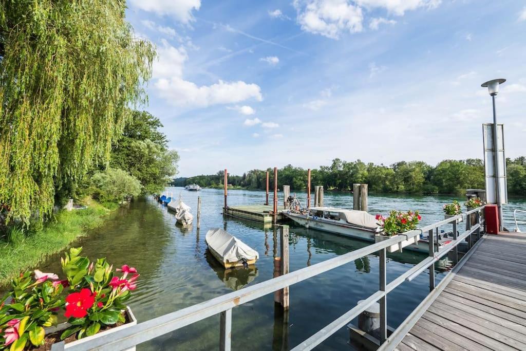 Luxury Apartment On The Rhein 高莱茵河畔布辛根 外观 照片
